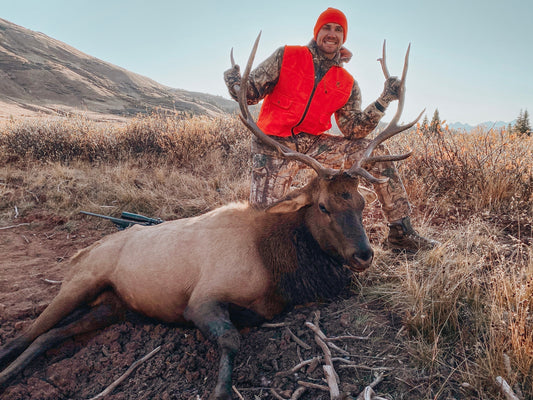 Essential Gear for Colorado First Rifle Elk Hunting